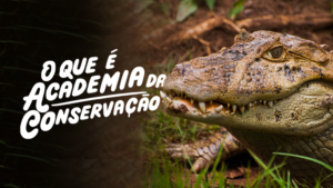 oqueacademiadaconservacao